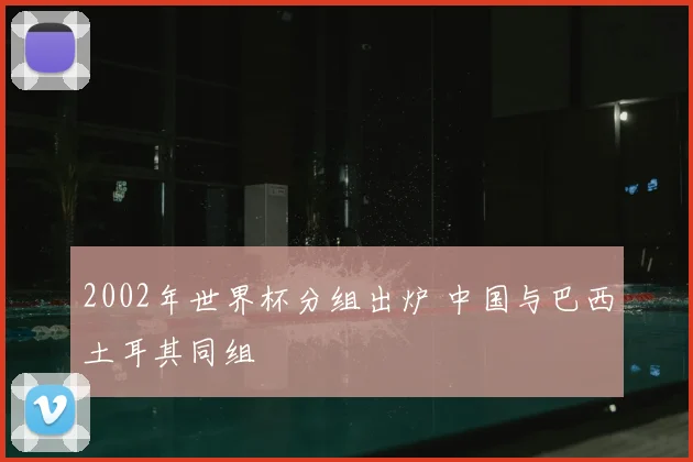 2002年世界杯分组出炉 中国与巴西土耳其同组