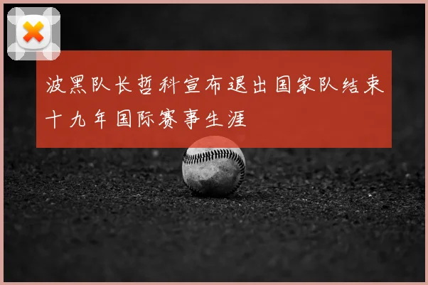 波黑队长哲科宣布退出国家队结束十九年国际赛事生涯