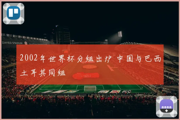 2002年世界杯分组出炉 中国与巴西土耳其同组