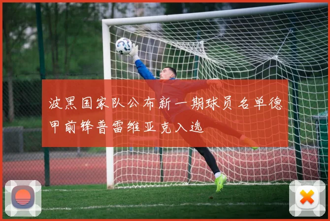 波黑国家队公布新一期球员名单德甲前锋普雷维亚克入选