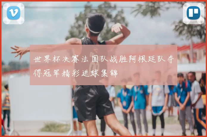 世界杯决赛法国队战胜阿根廷队夺得冠军精彩进球集锦