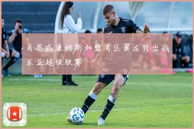 肖恩威廉姆斯加盟湾区翼龙将出战东亚超级联赛