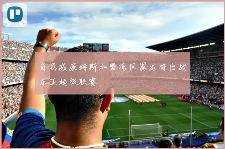 肖恩威廉姆斯加盟湾区翼龙将出战东亚超级联赛