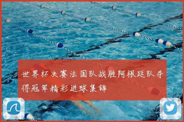世界杯决赛法国队战胜阿根廷队夺得冠军精彩进球集锦
