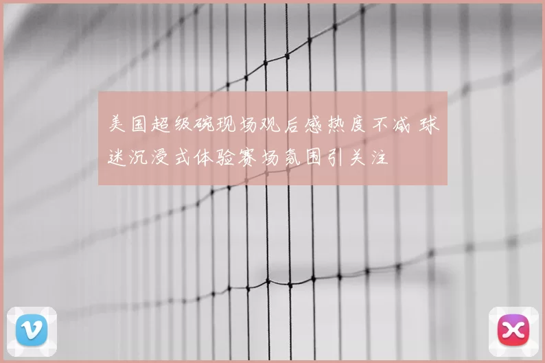 美国超级碗现场观后感热度不减 球迷沉浸式体验赛场氛围引关注