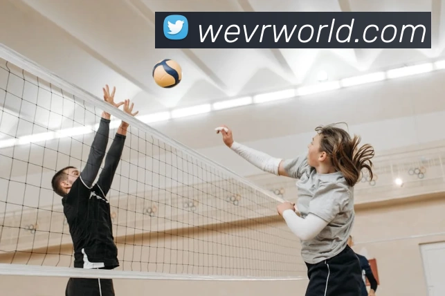 App Interface Preview